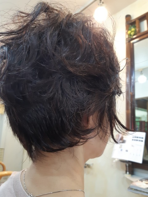 467532314_1125696346227240_5626752200600344483_n