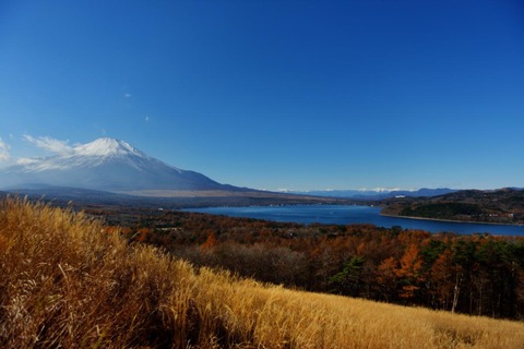 m_7ef1401a0c61c91a2d31e199065e64c0