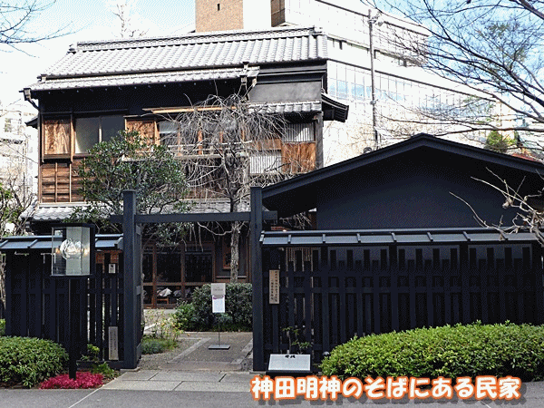 NN430カフェ井政