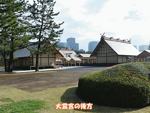 NN190大嘗宮後方から