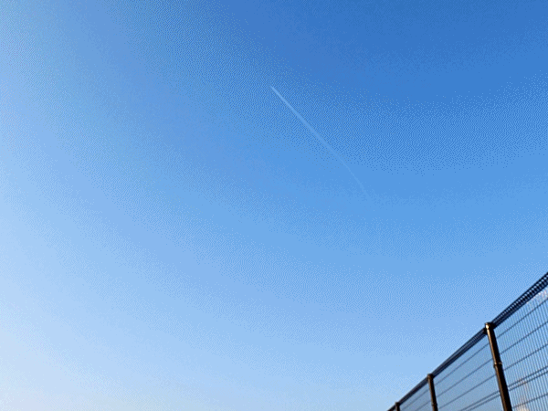 4月の広島 ラッキーの日記と パパのカメブラ散歩