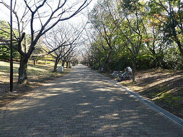 400KR公園 (1)
