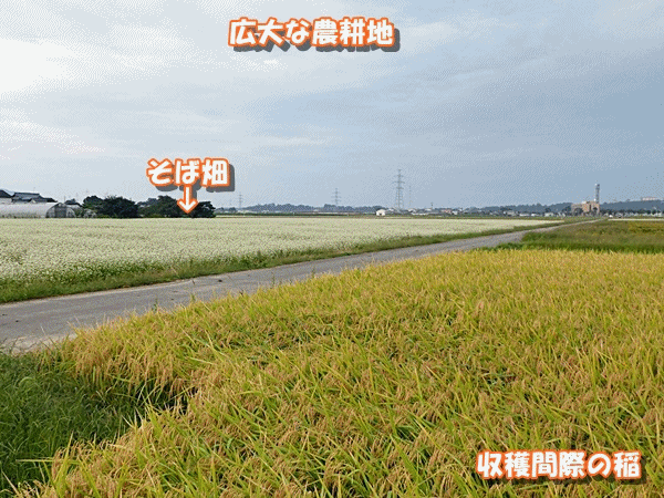 1410散歩コース1