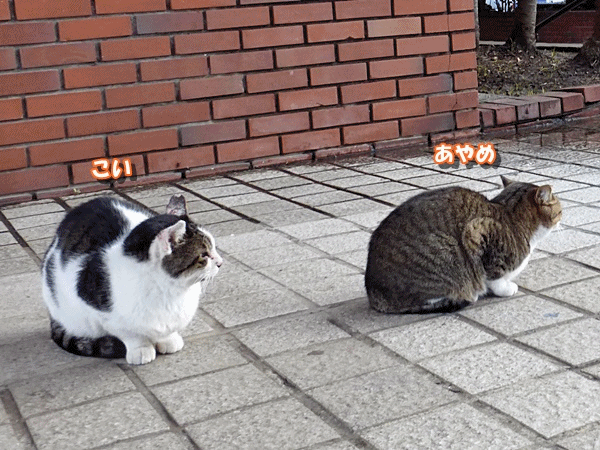 110ちょっと‥‥