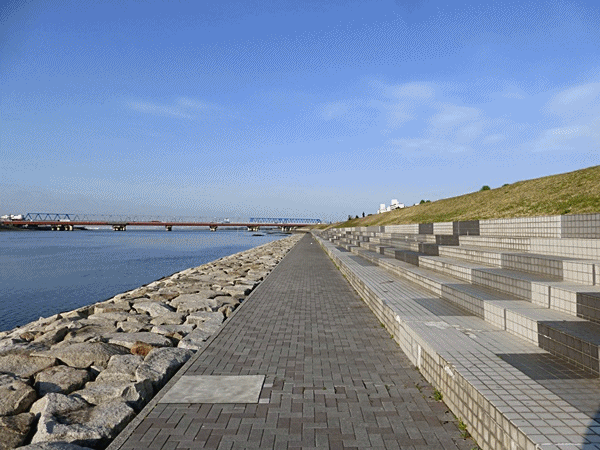 165河川敷ウォーク2