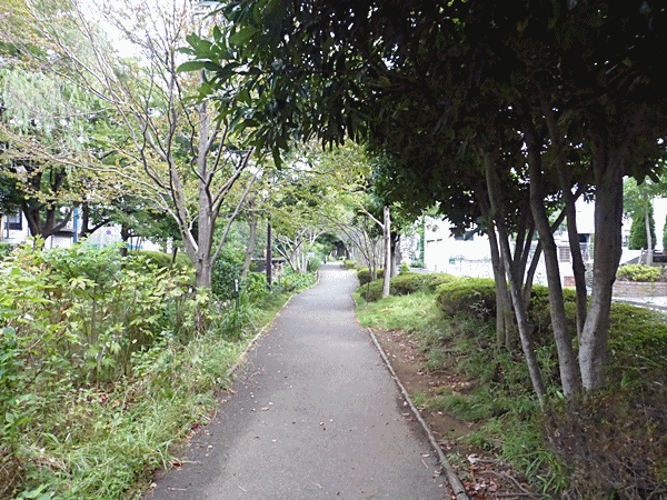 NN140新大橋通り