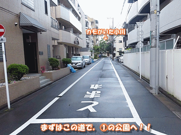 100新川への道