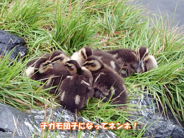 140寝ちゃった！