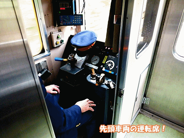 マルチーズ ラッキーの日記と パパのカメブラ散歩 マルチーズ ラッキーの日記と パパのカメブラ散歩