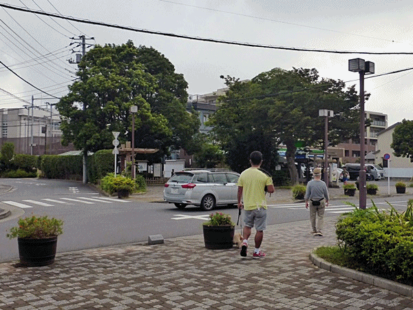 NN170一之江抹香亭？