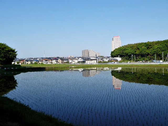 NN180水鏡に映ったタワマン (2)