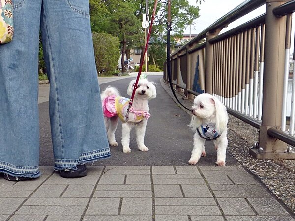 120次の日もあった