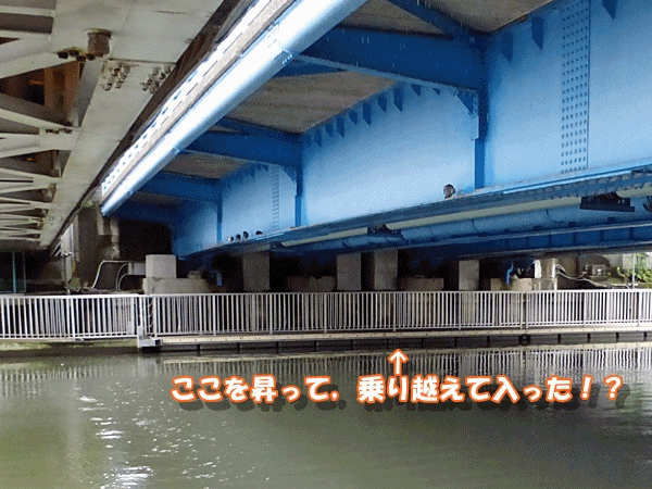 NN180こんなところ