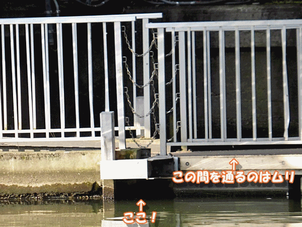 NN150対岸から