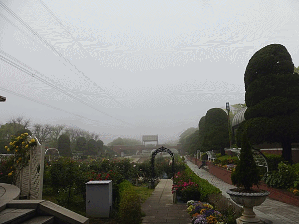 120フラワーガーデン