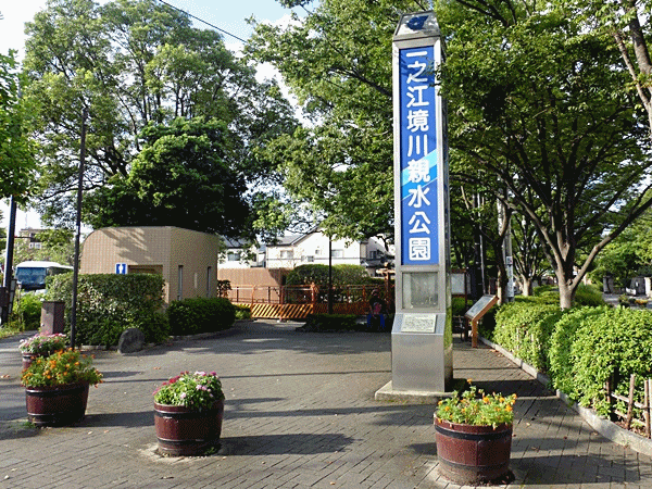 NN215終点