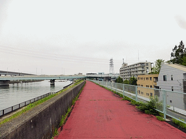 NN110堤防の上の道