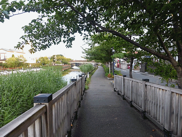 NN100親水公園入口へ