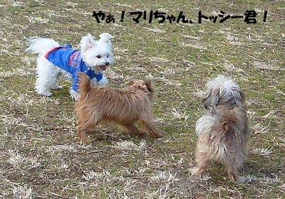 ラッキー ラッキーの日記と パパのカメブラ散歩 ラッキー ラッキーの日記と パパのカメブラ散歩