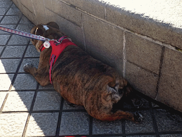 NN140あじぃ～～！！