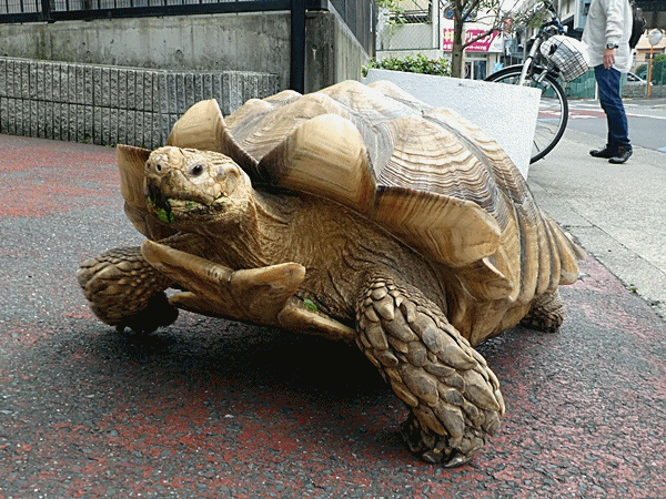 NN400ガメラ発見