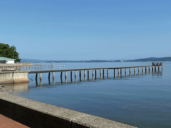 1102ホテルのプールと海