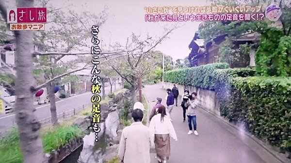 1100これでピンときた