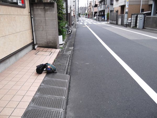 変な落し物 １ ラッキーの日記と パパのカメブラ散歩