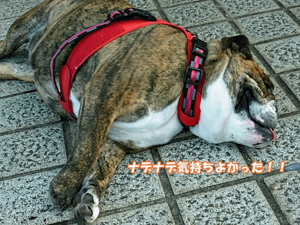 NN200この距離感
