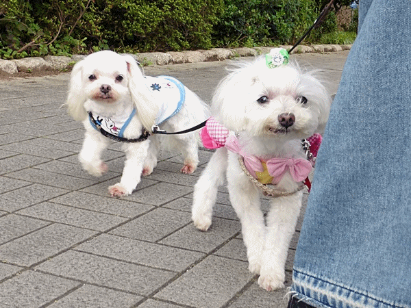 160ちょっと慣れた??