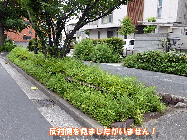 140やぶの中へ