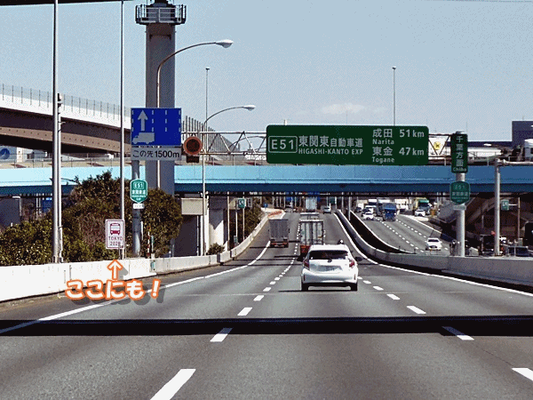 40ここにも!