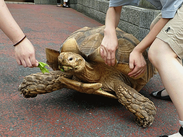 NN430思うようにならない