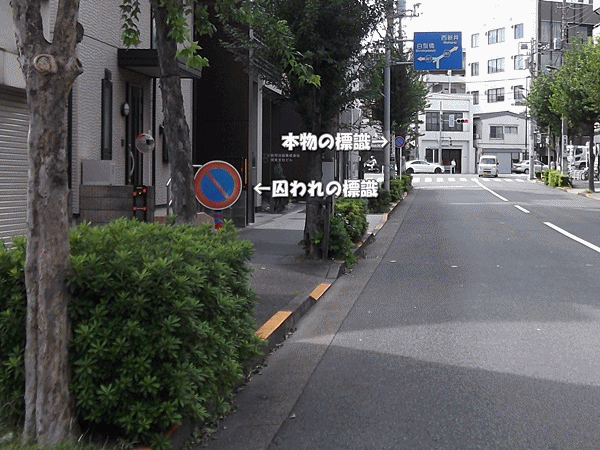 逮捕された道路標識 ラッキーの日記と パパのカメブラ散歩 逮捕された道路標識 ラッキーの日記と パパのカメブラ散歩