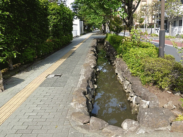 NN160ふと見るとカメ