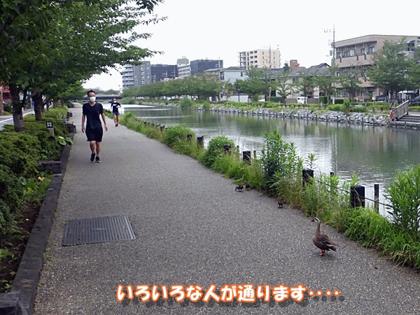 70こんなところ