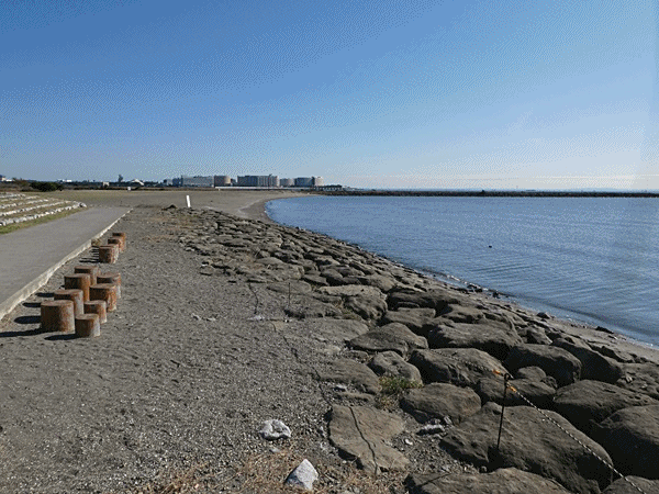 406人工渚からの眺め