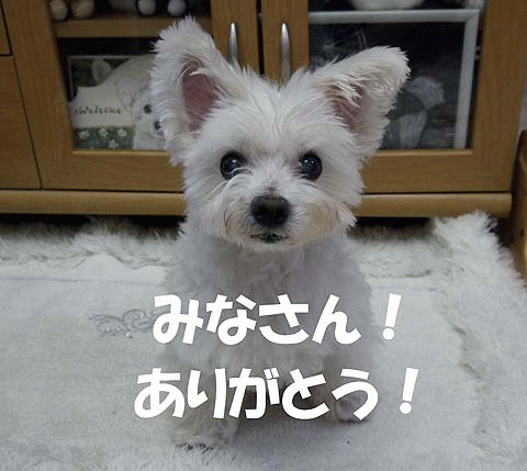 �ߤʤ��󤢤꤬�Ȥ�