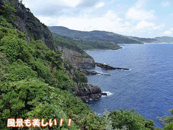 81竜宮の潮吹き