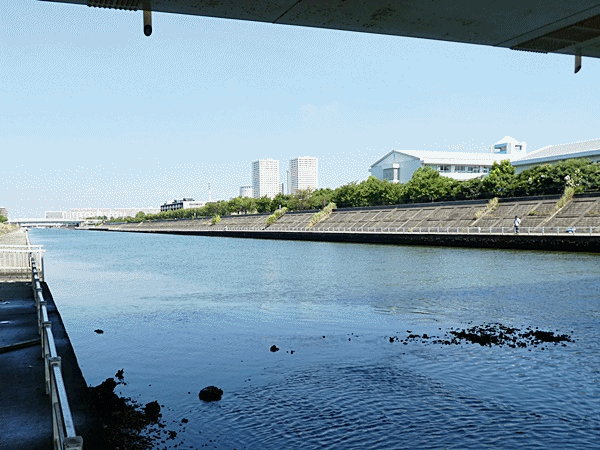 NN100釣り場