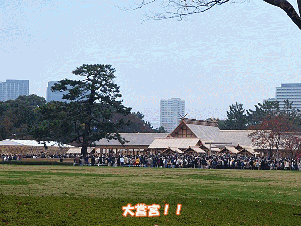 NN150大嘗宮 遠景