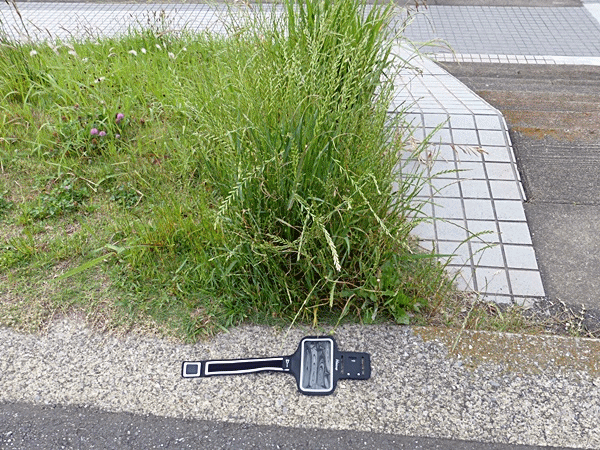 120スマホホルダー2