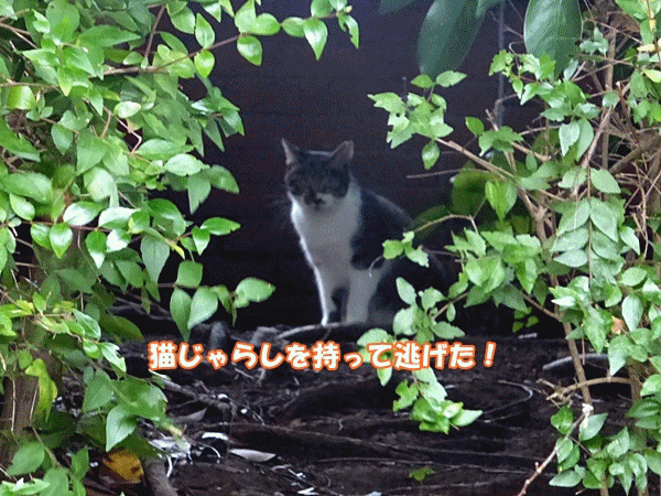 150もって逃げた