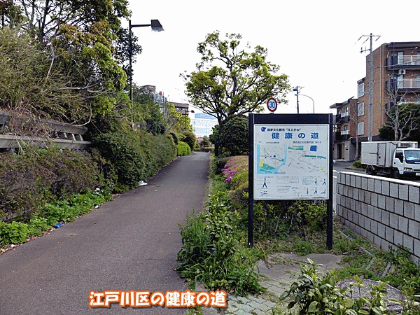 NN10健康の道