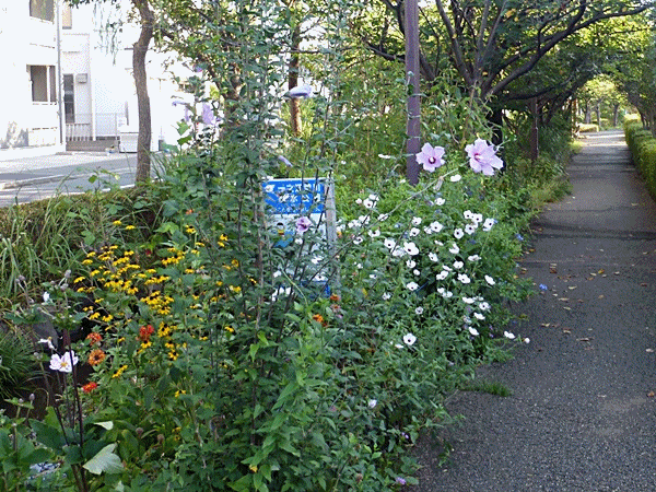 NN400花