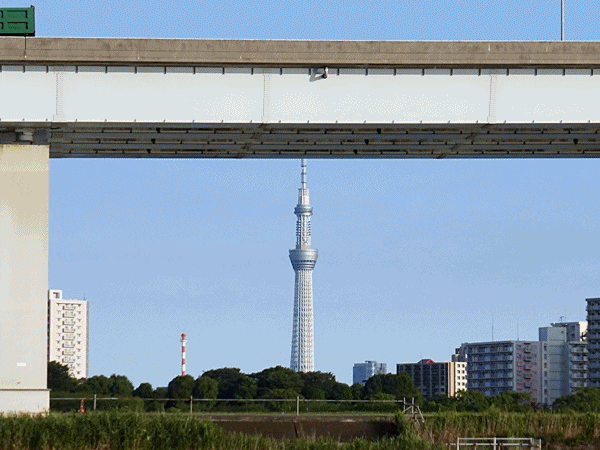 220スカイツリー