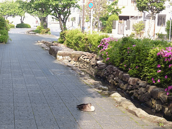 NN180あれは？？