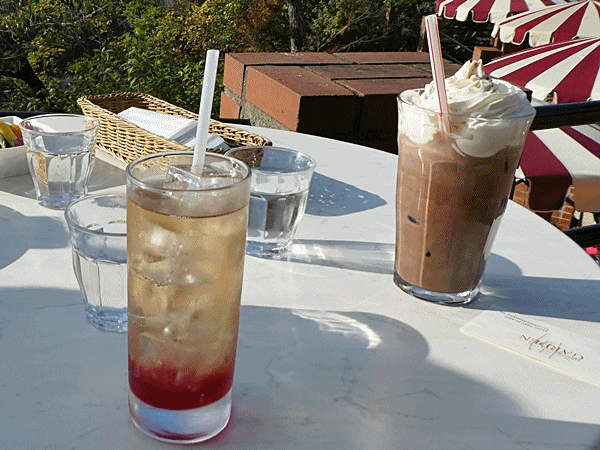 ラッキーの日記と パパのカメブラ散歩