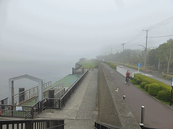 150江戸川河川敷