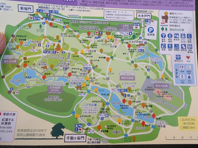 100入口 (3)